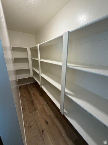 3831 South Powderwood Lane Mapleton, UT 84664 - Photo 14 of 17 Walk-in pantry featuring extensive white shelving