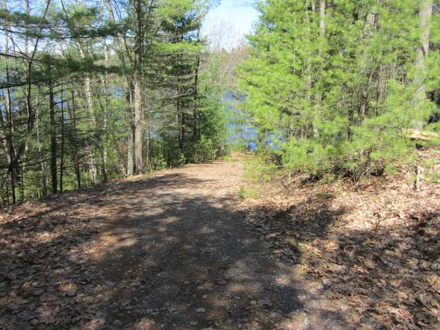 Lot 8 Branches Road Rhinelander, WI 54501 - Photo 2 of 11 Gallery Image 2