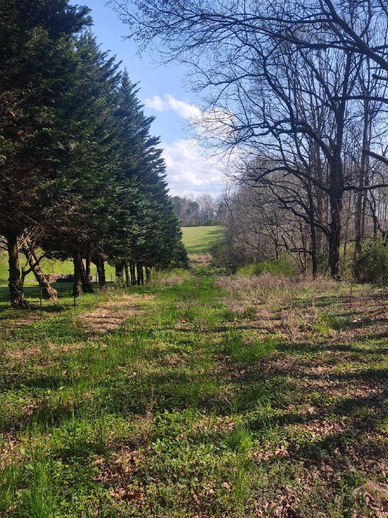 682 Thompson Road Madisonville, TN 37354 - Photo 2 of 5 91C65AE6-9291-4BAA-A152-E38E3E809591