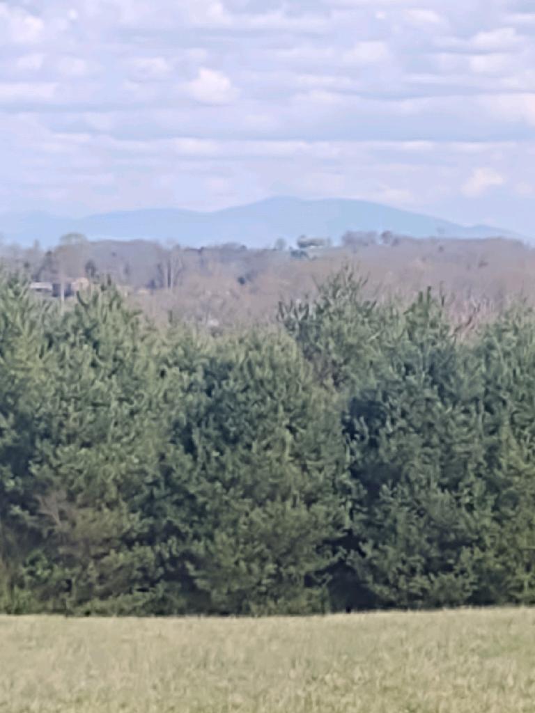 682 Thompson Road Madisonville, TN 37354 - Photo 4 of 5 471AE12A-926C-4710-8BB2-79588E65042C
