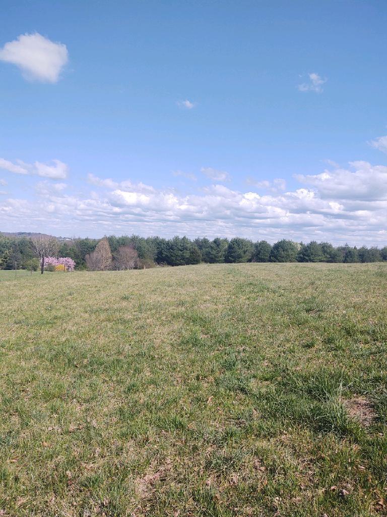 682 Thompson Road Madisonville, TN 37354 - Photo 5 of 5 AFDF69D7-7061-4C2B-9F60-861451CC1DDD