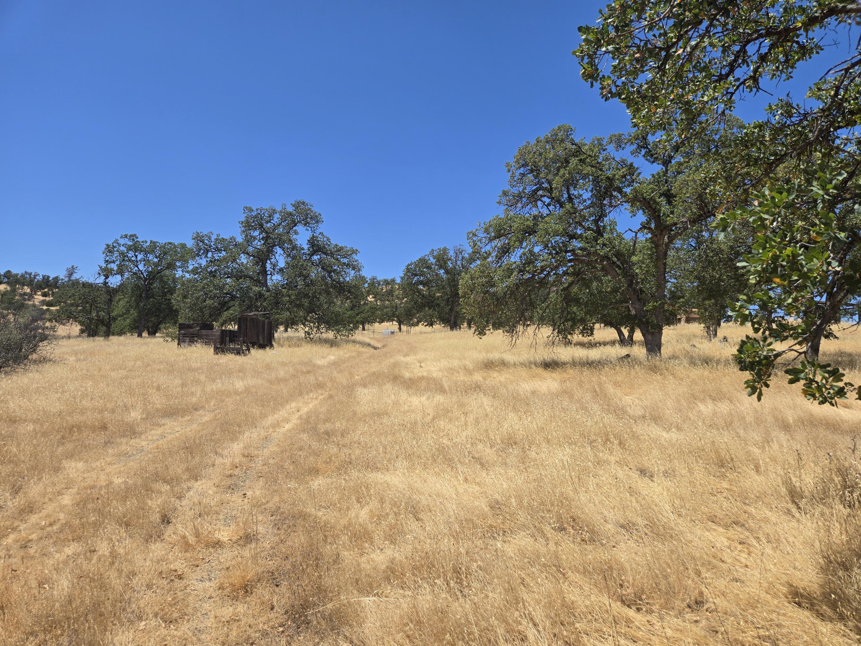 128 Tar Bully Road Igo, CA 96047 - Photo 17 of 24 20250722_124422