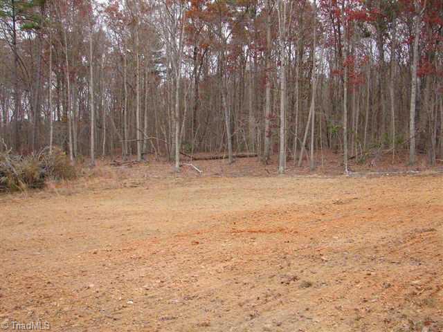 4064 Spies Road Star, NC 27356 - Photo 2 of 9 Other.