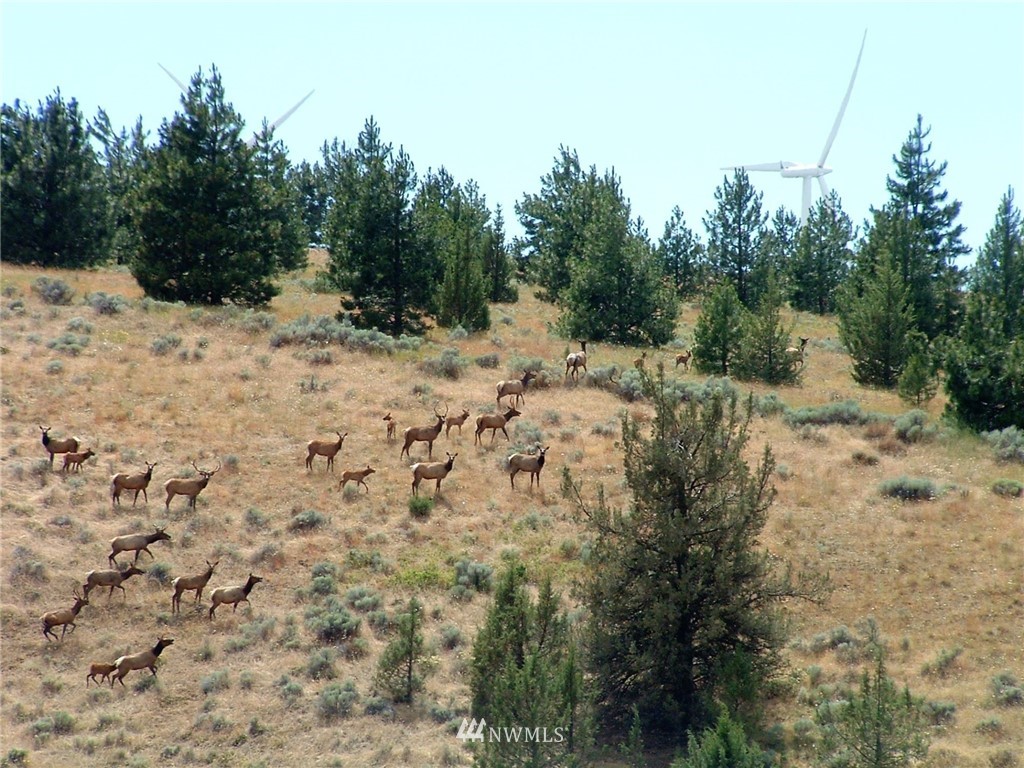-nka Tom Miller Road Goldendale, WA 98620 - Photo 1 of 19 Gallery Image 1