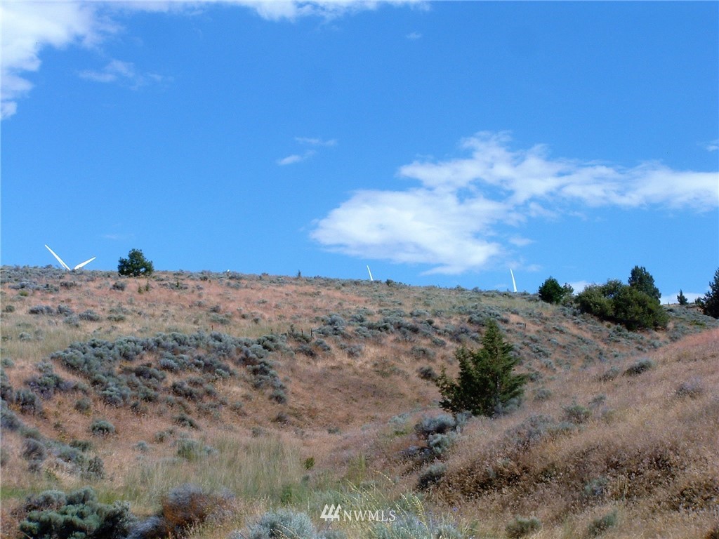 -nka Tom Miller Road Goldendale, WA 98620 - Photo 11 of 19 Gallery Image 11