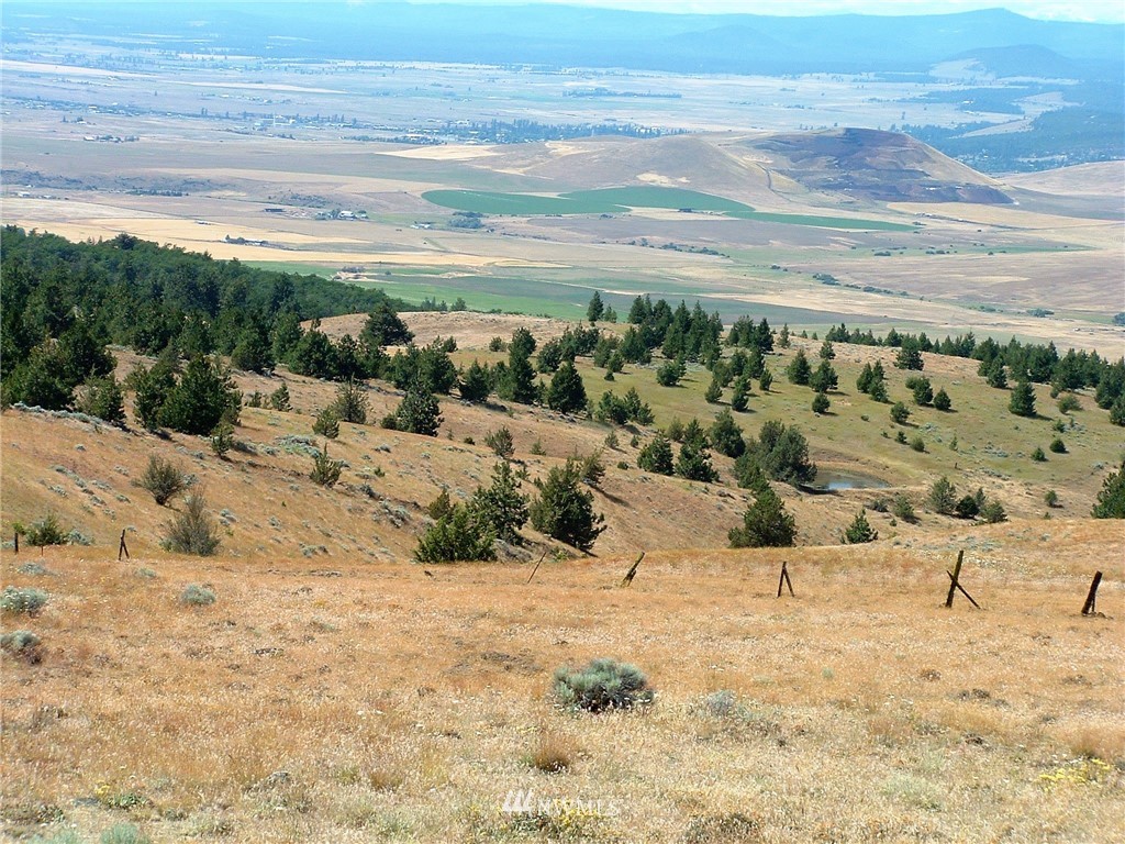 -nka Tom Miller Road Goldendale, WA 98620 - Photo 14 of 19 Gallery Image 14