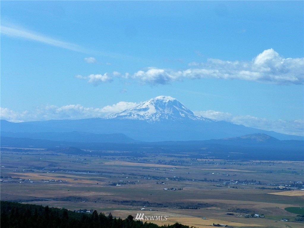 -nka Tom Miller Road Goldendale, WA 98620 - Photo 6 of 19 Gallery Image 6