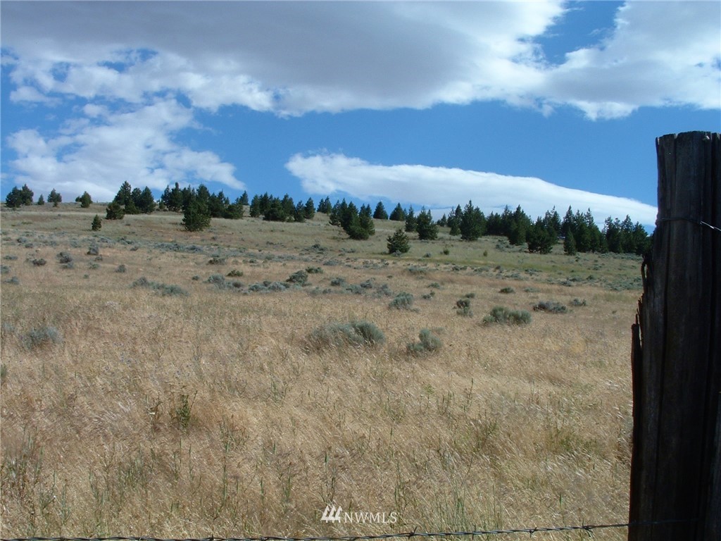 -nka Tom Miller Road Goldendale, WA 98620 - Photo 7 of 19 Gallery Image 7
