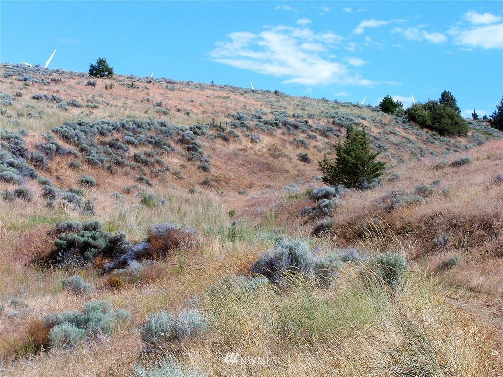 -nka Tom Miller Road Goldendale, WA 98620 - Photo 8 of 19 Gallery Image 8