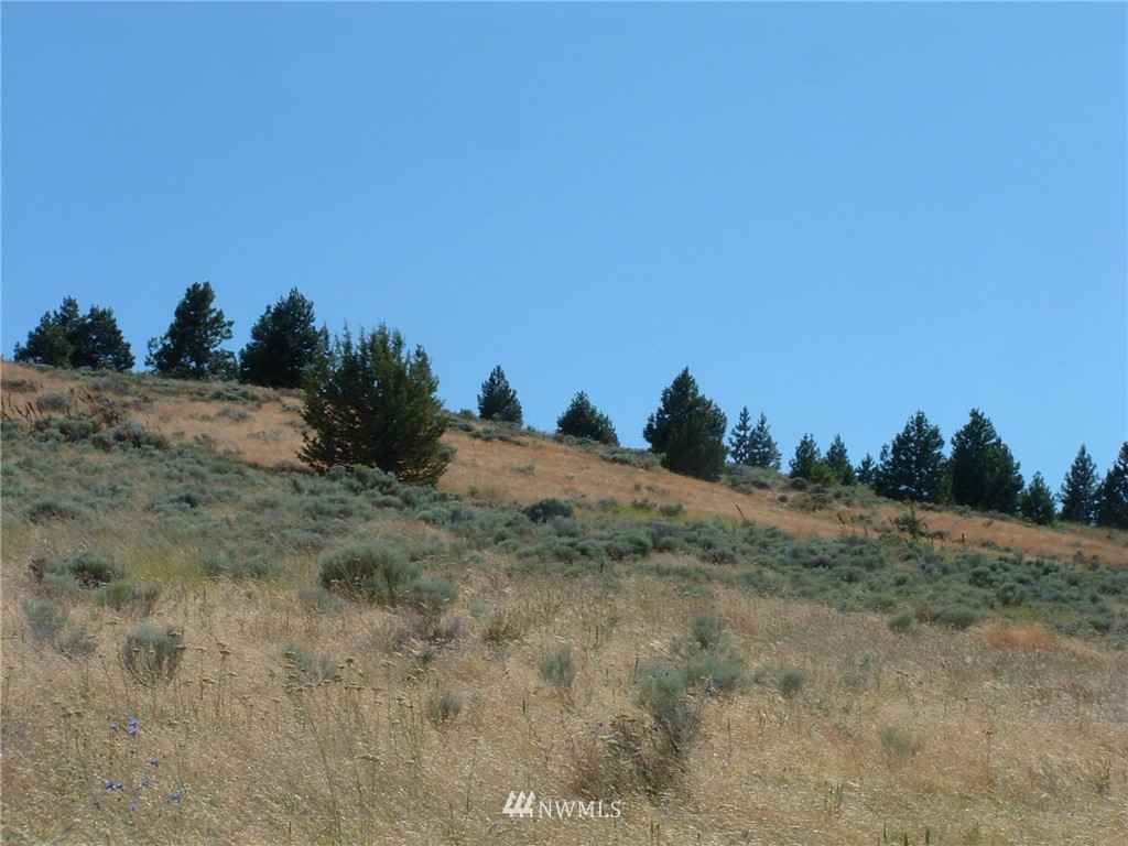 -nka Tom Miller Road Goldendale, WA 98620 - Photo 9 of 19 Gallery Image 9