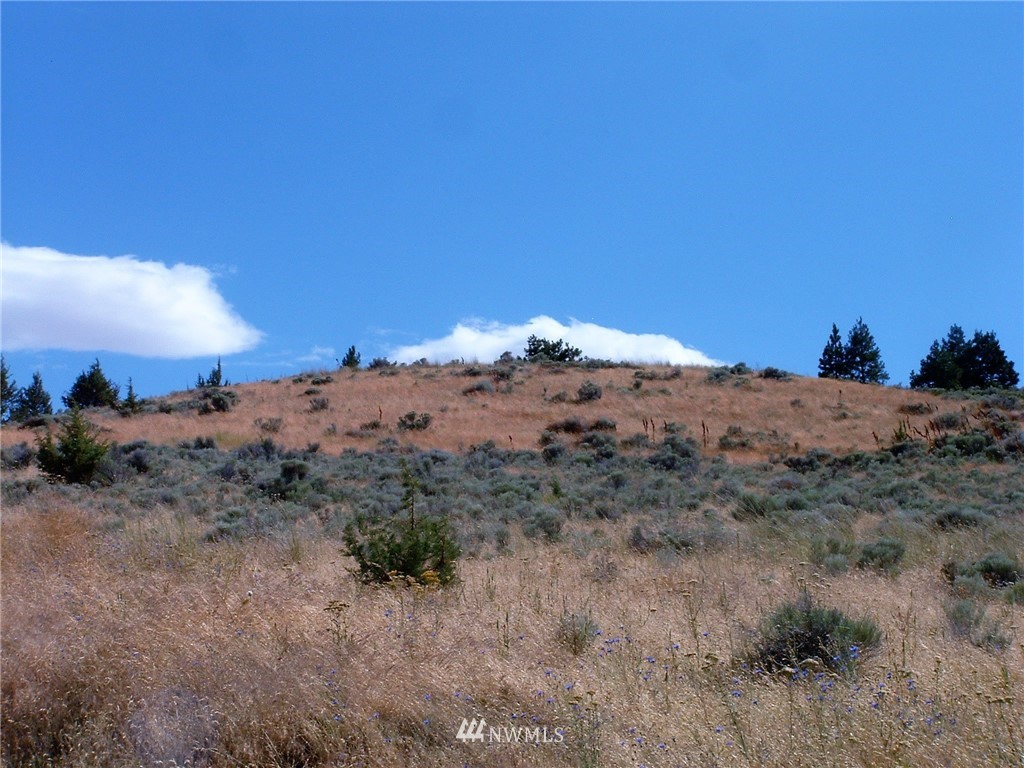 -nka Tom Miller Road Goldendale, WA 98620 - Photo 10 of 19 Gallery Image 10