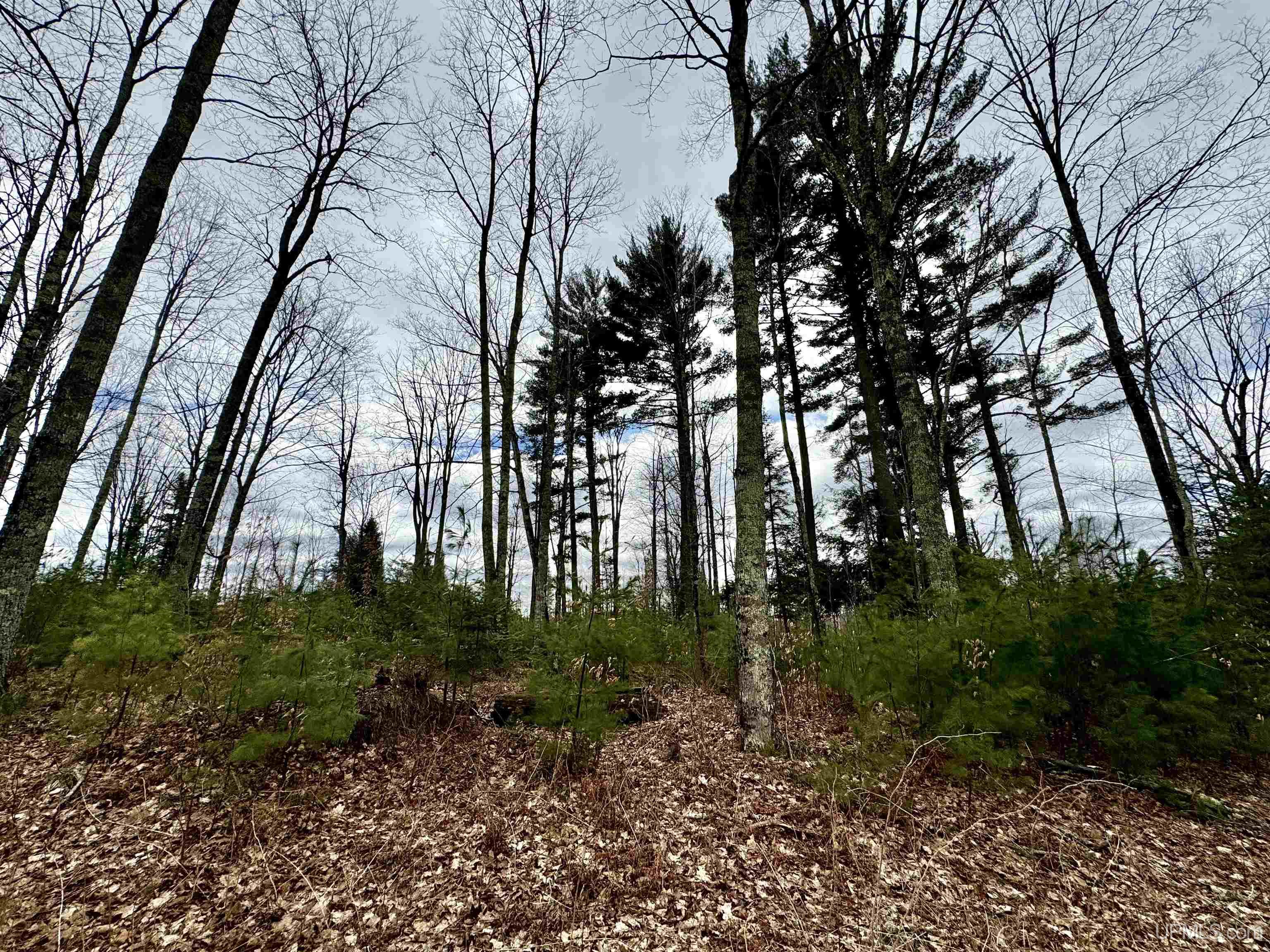 M69 Rd Perronville Mi 49873 Road Perronville, MI 49873 - Photo 18 of 41