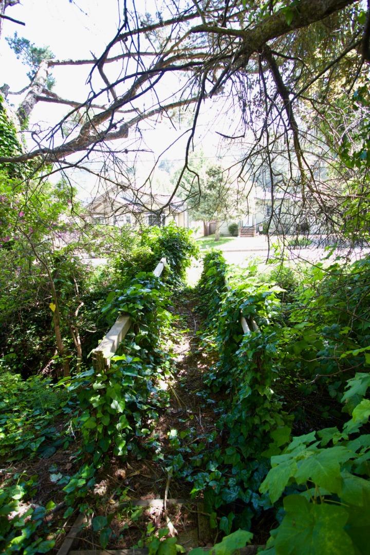 211 Modoc Place Pacifica, CA 94044 - Photo 25 of 25 a view of tree