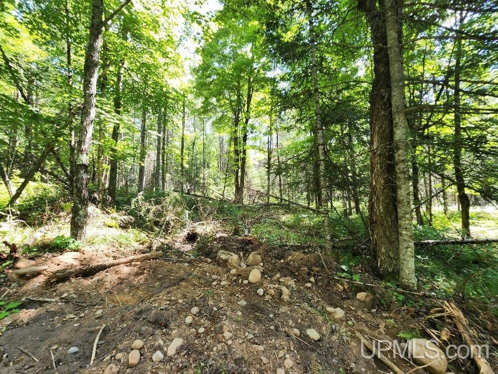2.63-acres Sheltrow Road, Unit LOT 6PAINT RIVER HIGHLAN Crystal Falls, MI 49920 - Photo 33 of 53 Gallery Image 33