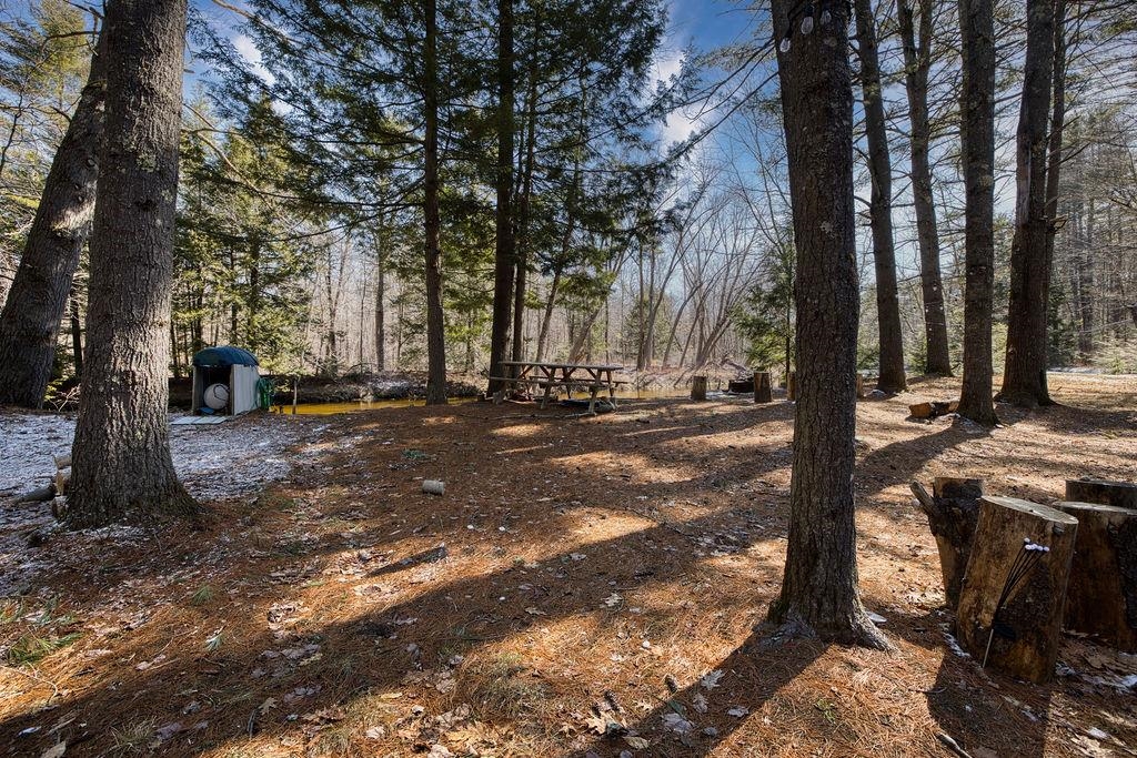 74-76 Newman Drew Road Ossipee, NH 03890 - Photo 5 of 21 Gallery Image 5