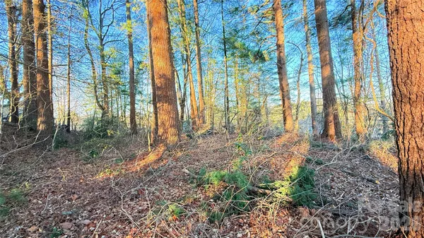 $140,000 | 0 Toms Park Circle, Unit 21&22, Hendersonville, NC 28739