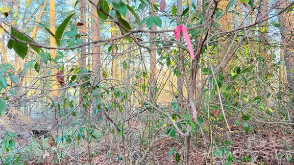 $140,000 | 0 Toms Park Circle, Unit 21&22, Hendersonville, NC 28739