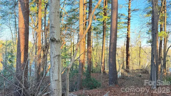 $140,000 | 0 Toms Park Circle, Unit 21&22, Hendersonville, NC 28739