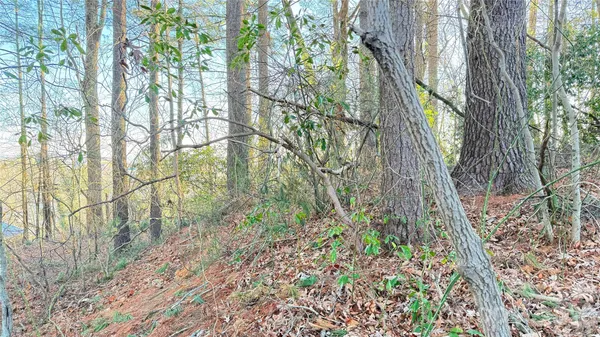 $140,000 | 0 Toms Park Circle, Unit 21&22, Hendersonville, NC 28739