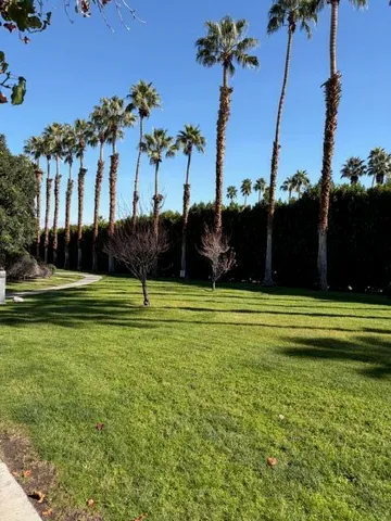 a view of a park
