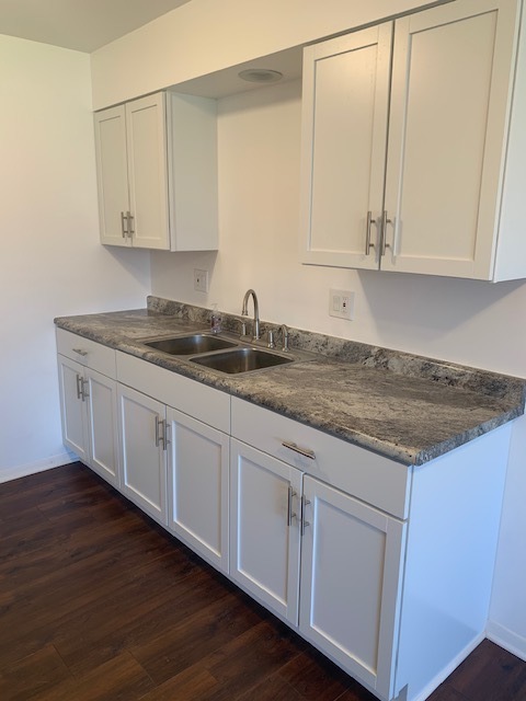 1655 Felten Road Aurora, IL 60505 - Photo 21 of 29 a kitchen with granite countertop white cabinets and sink