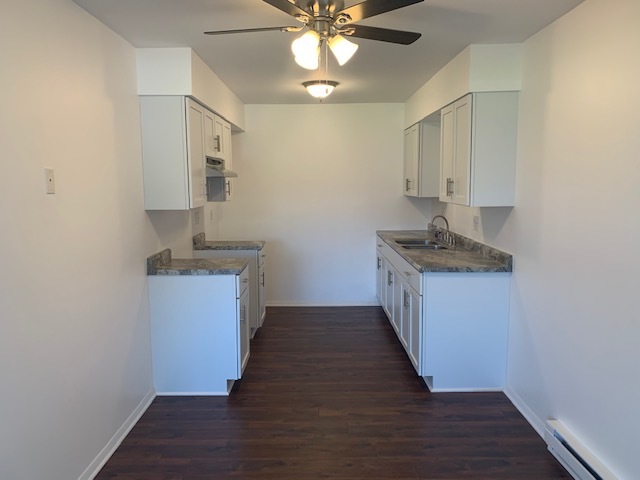 1655 Felten Road Aurora, IL 60505 - Photo 22 of 29 a kitchen with sink and cabinets