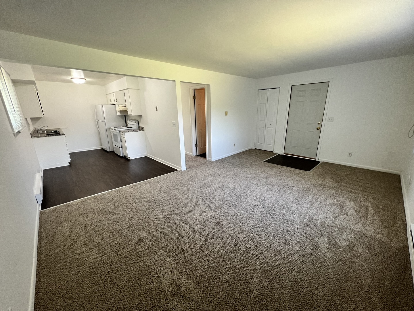 1655 Felten Road Aurora, IL 60505 - Photo 5 of 29 a view of a big room with closet and windows