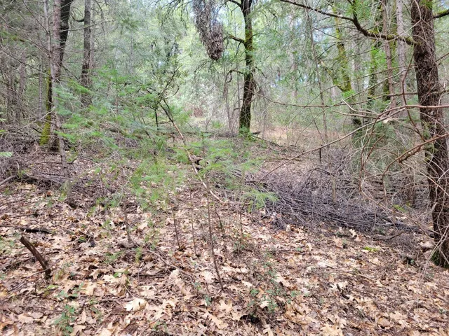 $199,000 | 7 Canyon Way, Colfax, CA 95713