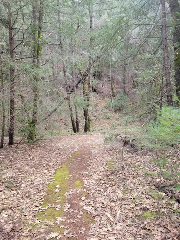 $199,000 | 7 Canyon Way, Colfax, CA 95713