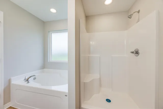 a bathroom with a bathtub and a shower