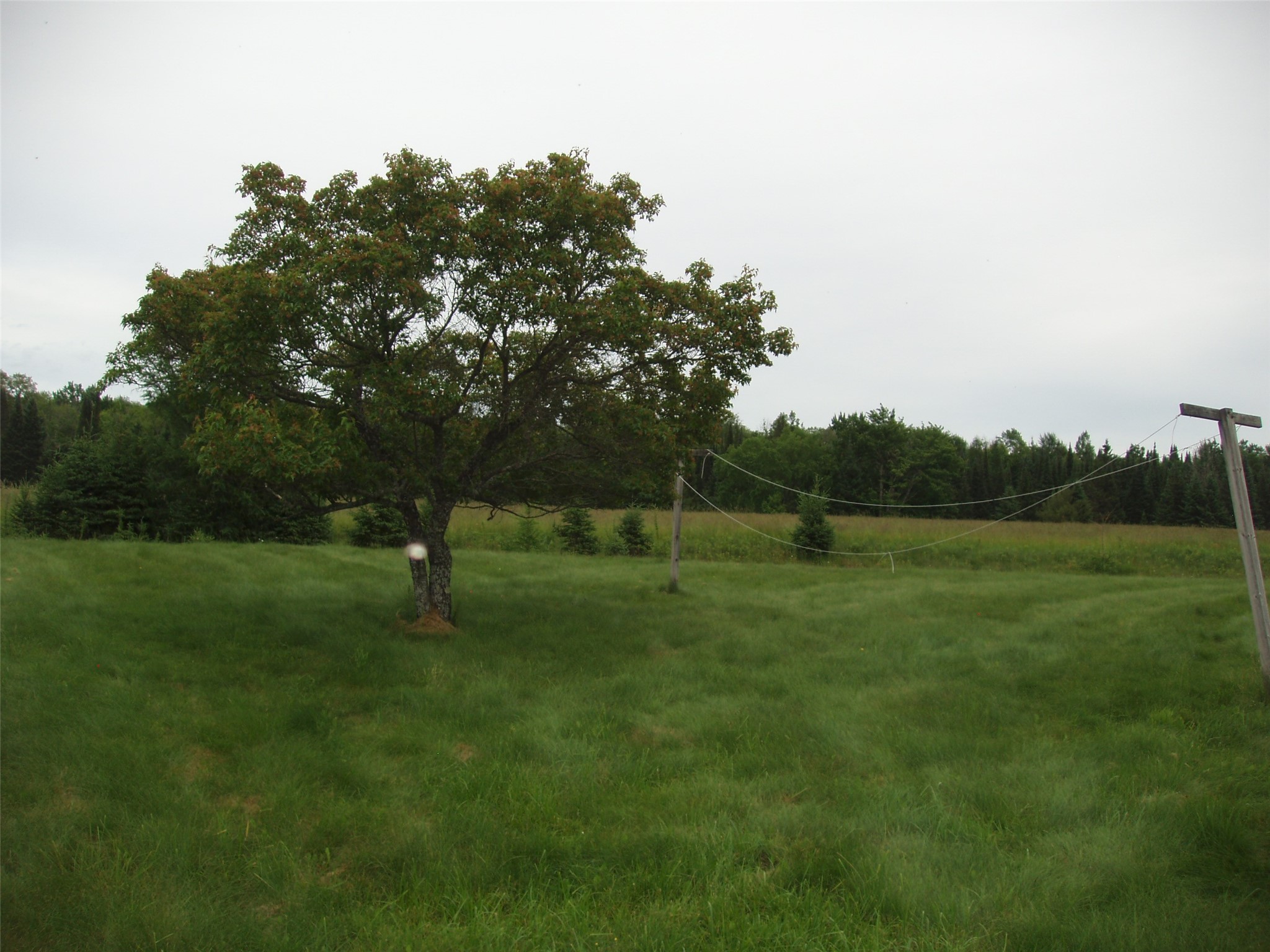N16798 Bass Lake Road Butternut, WI 54514 - Photo 35 of 52