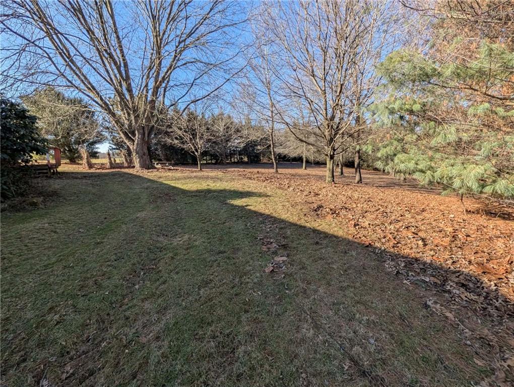 100 Santa Rita Lane Butler, PA 16001 - Photo 22 of 26 a view of snow on the side of tree
