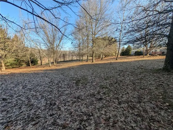 a view of a yard with a tree