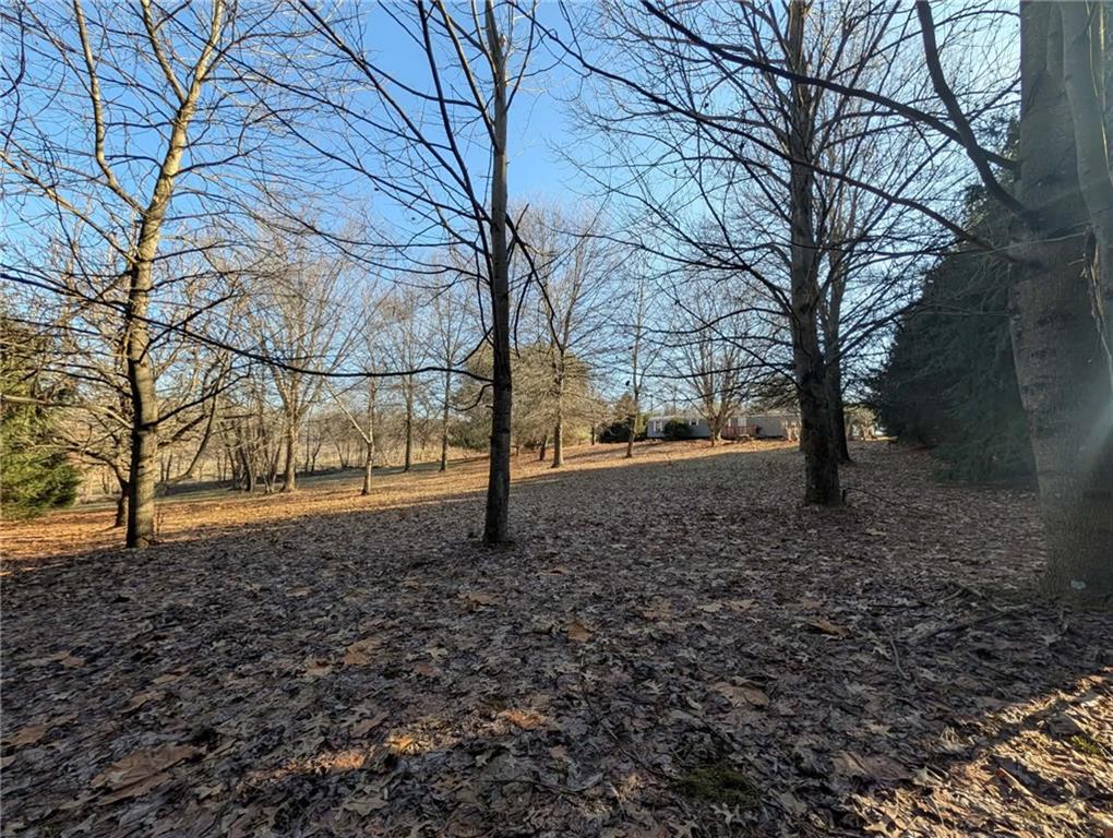 100 Santa Rita Lane Butler, PA 16001 - Photo 24 of 26 a view of a yard with a tree