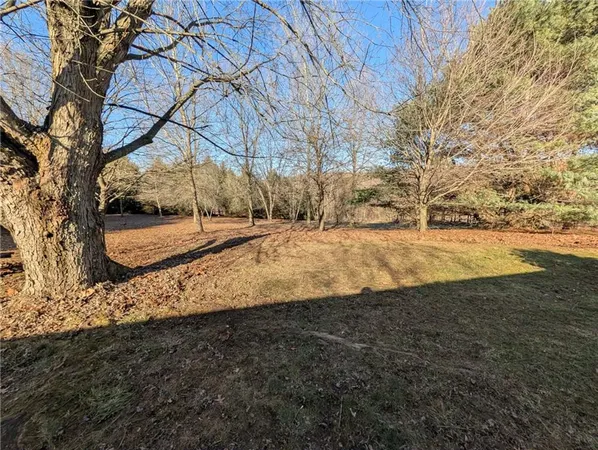 a view of yard with tree and a yard
