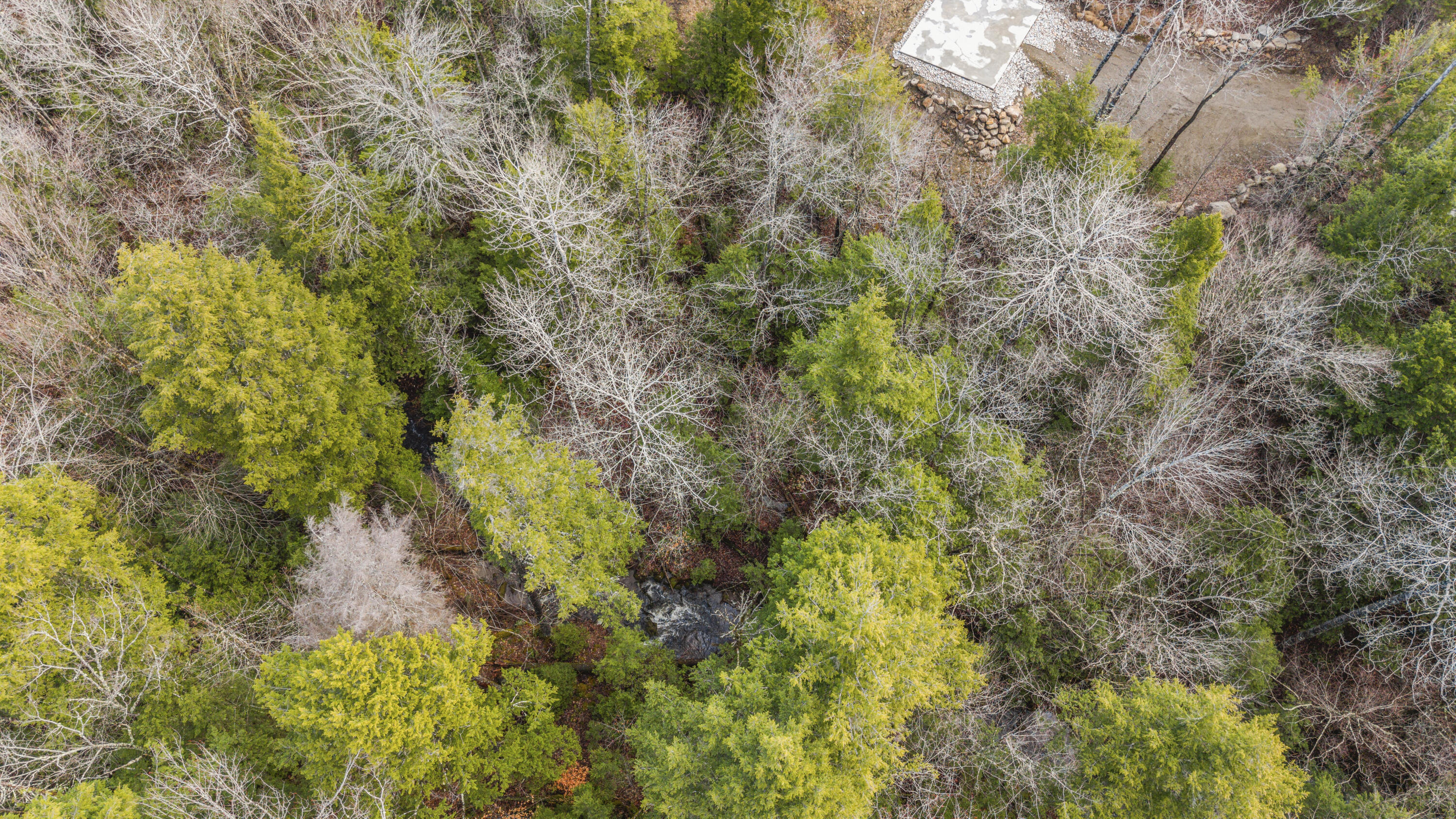 Map7-lot34 Kimball Pond Road Vienna, ME 04360 - Photo 11 of 16