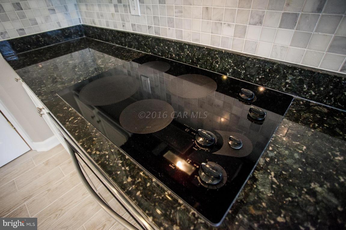 10220 Ruffian Lane Berlin, MD 21811 - Photo 27 of 151 Gallery Image 27