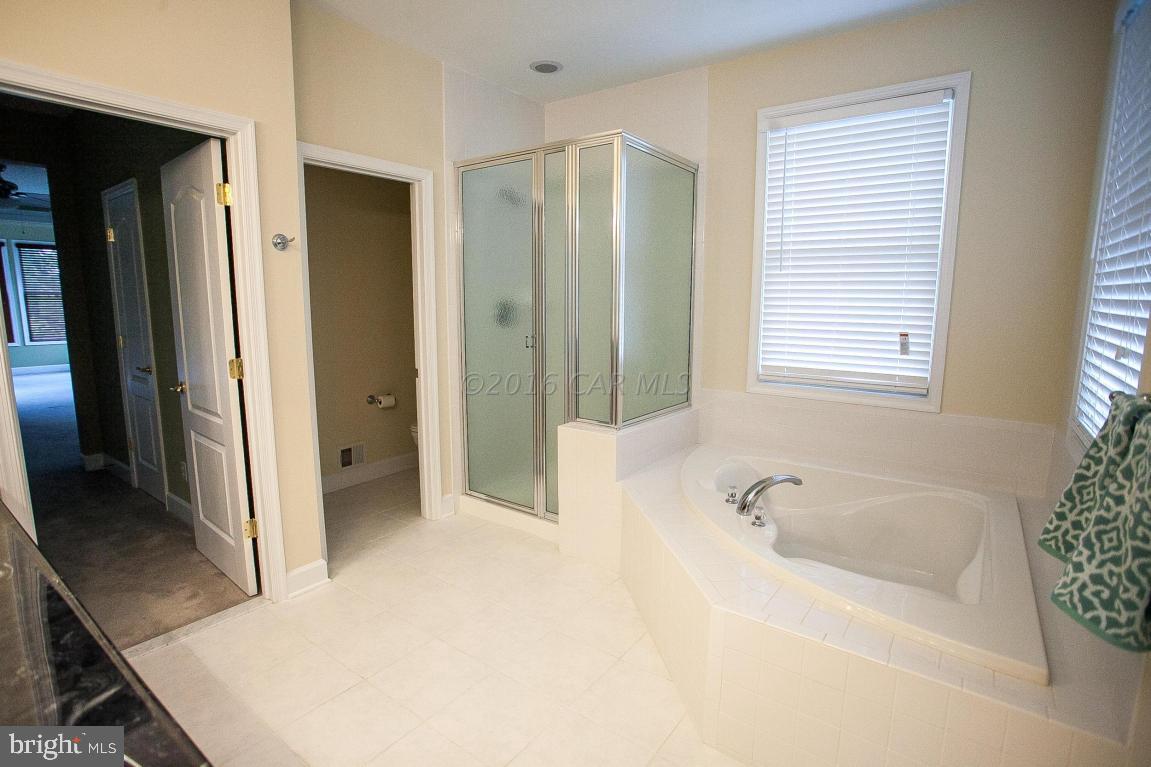 10220 Ruffian Lane Berlin, MD 21811 - Photo 62 of 151 Gallery Image 62