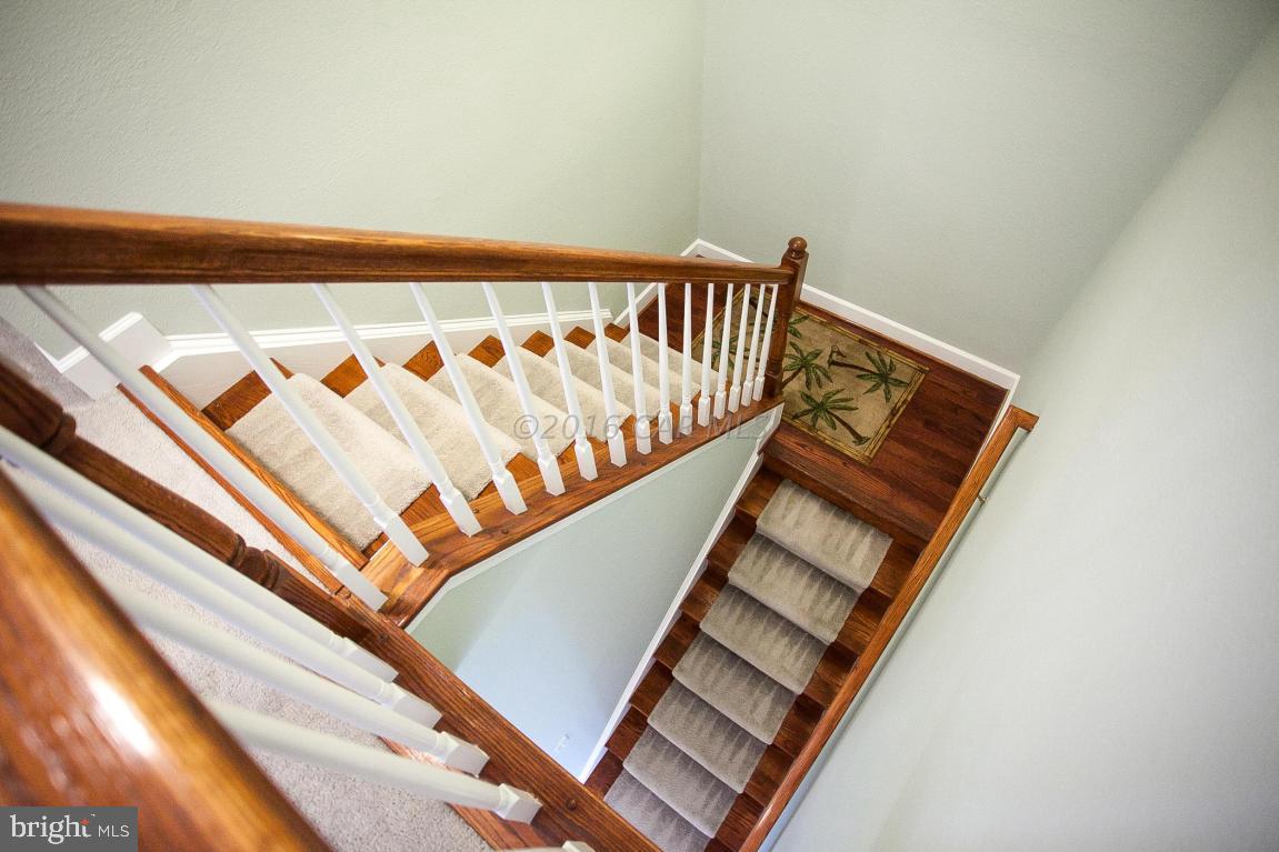 10220 Ruffian Lane Berlin, MD 21811 - Photo 73 of 151 Gallery Image 73