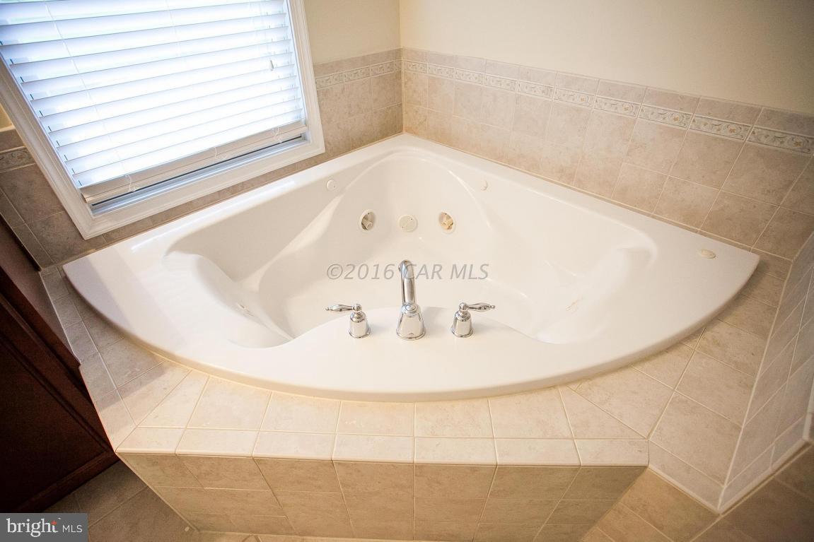 10220 Ruffian Lane Berlin, MD 21811 - Photo 86 of 151 Gallery Image 86
