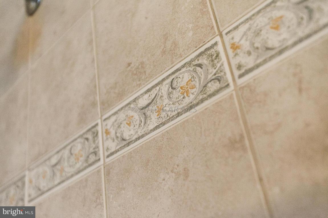 10220 Ruffian Lane Berlin, MD 21811 - Photo 92 of 151 Gallery Image 92