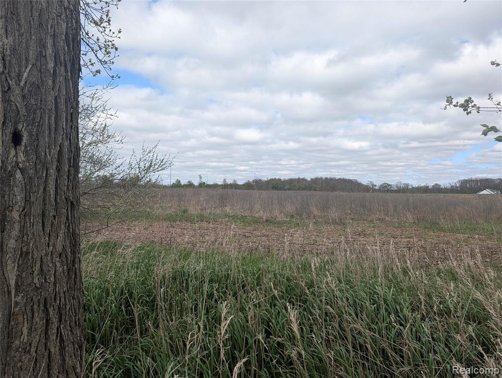 Parcel E Hogan Road Linden, MI 48451 - Photo 5 of 22