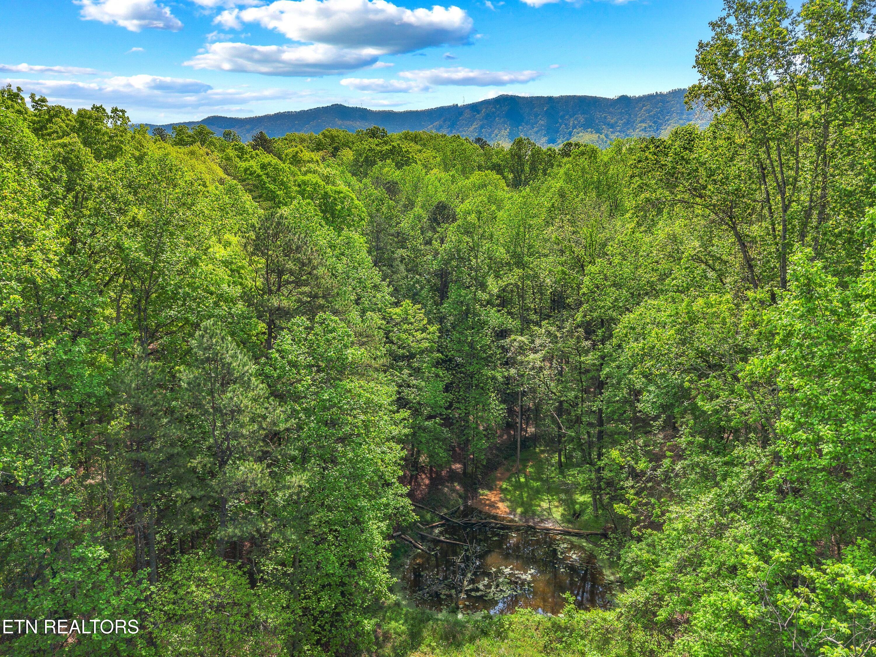 County Line Road Dandridge, TN 37725 - Photo 6 of 15 007-CountyLineRoad-TN-37725-SMALL