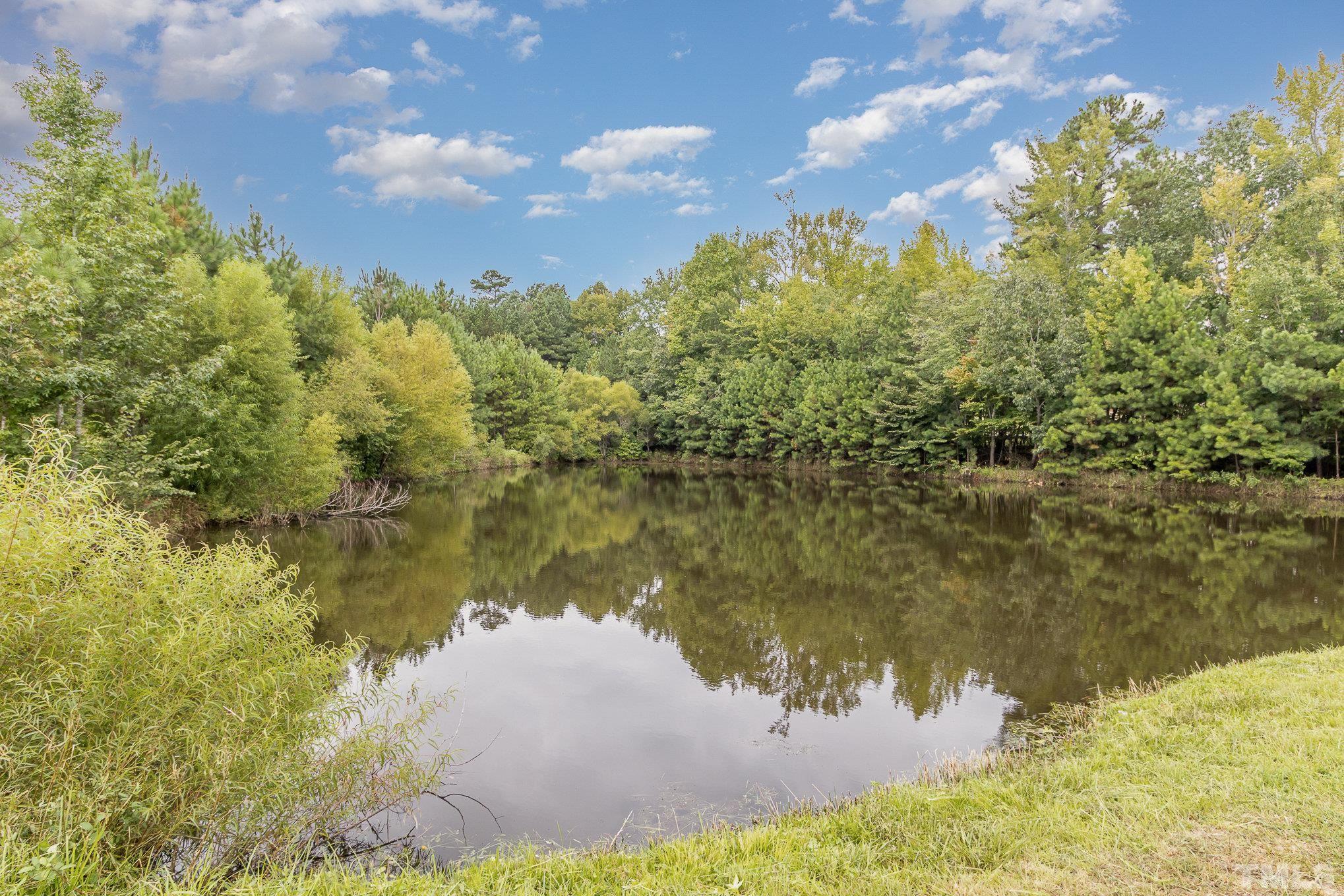 7809 Wiley Mangum Road Bahama, NC 27503 - Photo 22 of 22