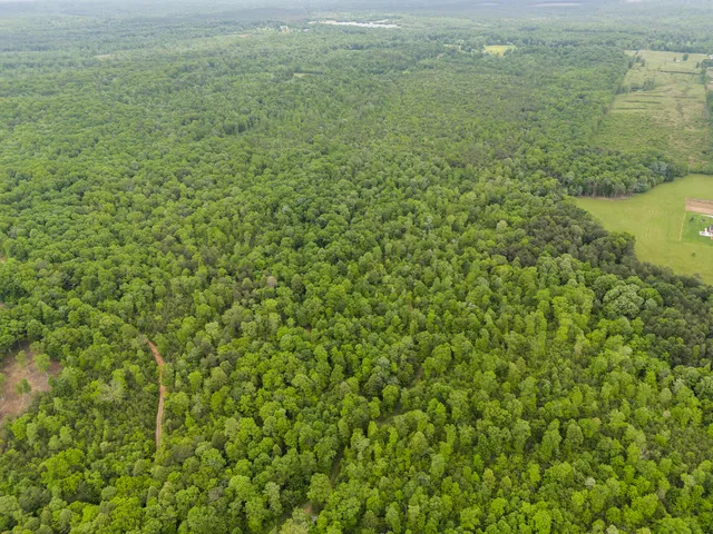 $299,900 | 2361 Colony Road, Gruetli Laager, TN 37339