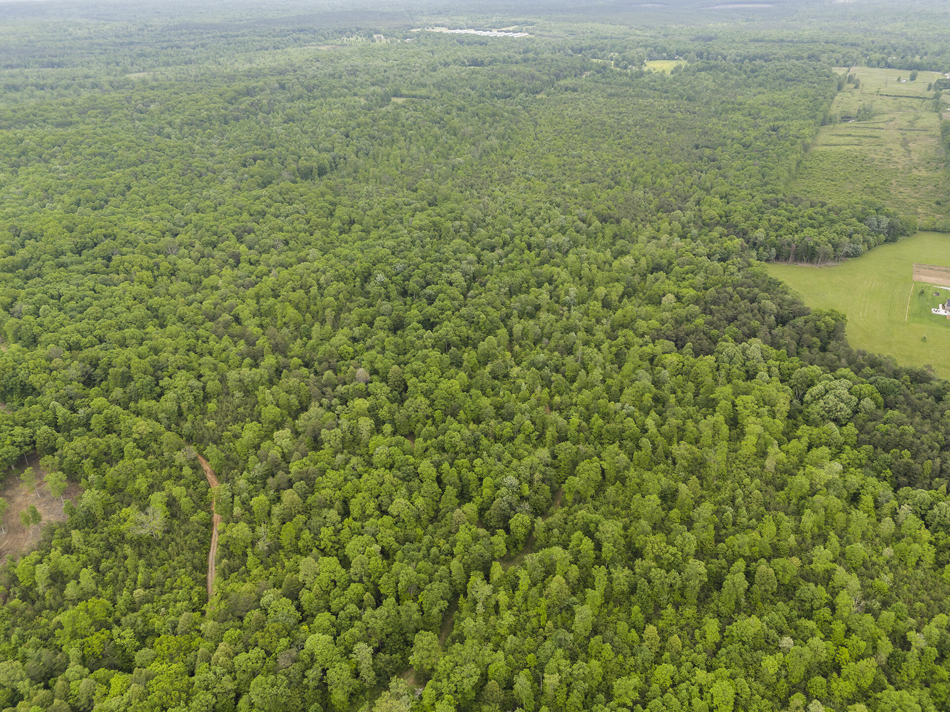 DJI_20250520143448_0352_D