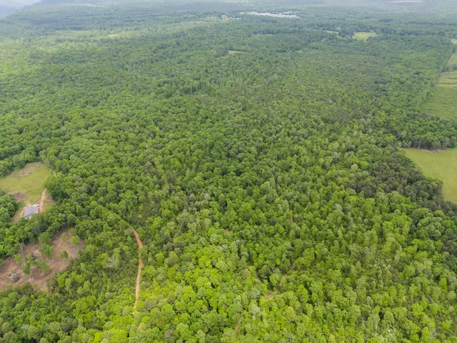 $299,900 | 2361 Colony Road, Gruetli Laager, TN 37339