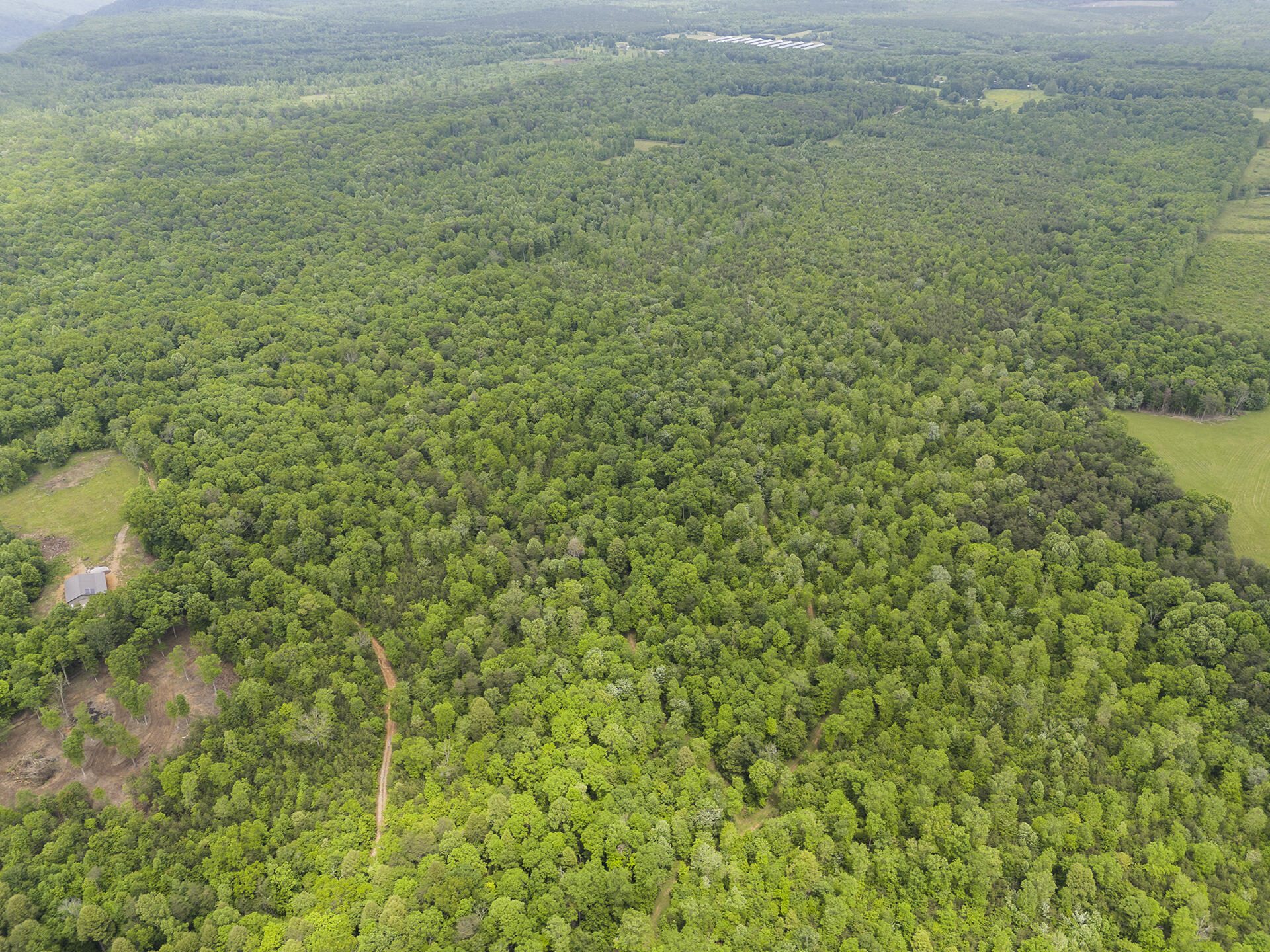 2361 Colony Road Gruetli Laager, TN 37339 - Photo 2 of 8 DJI_20250520143542_0358_D
