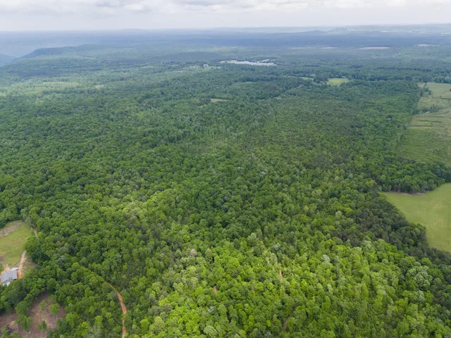 $299,900 | 2361 Colony Road, Gruetli Laager, TN 37339