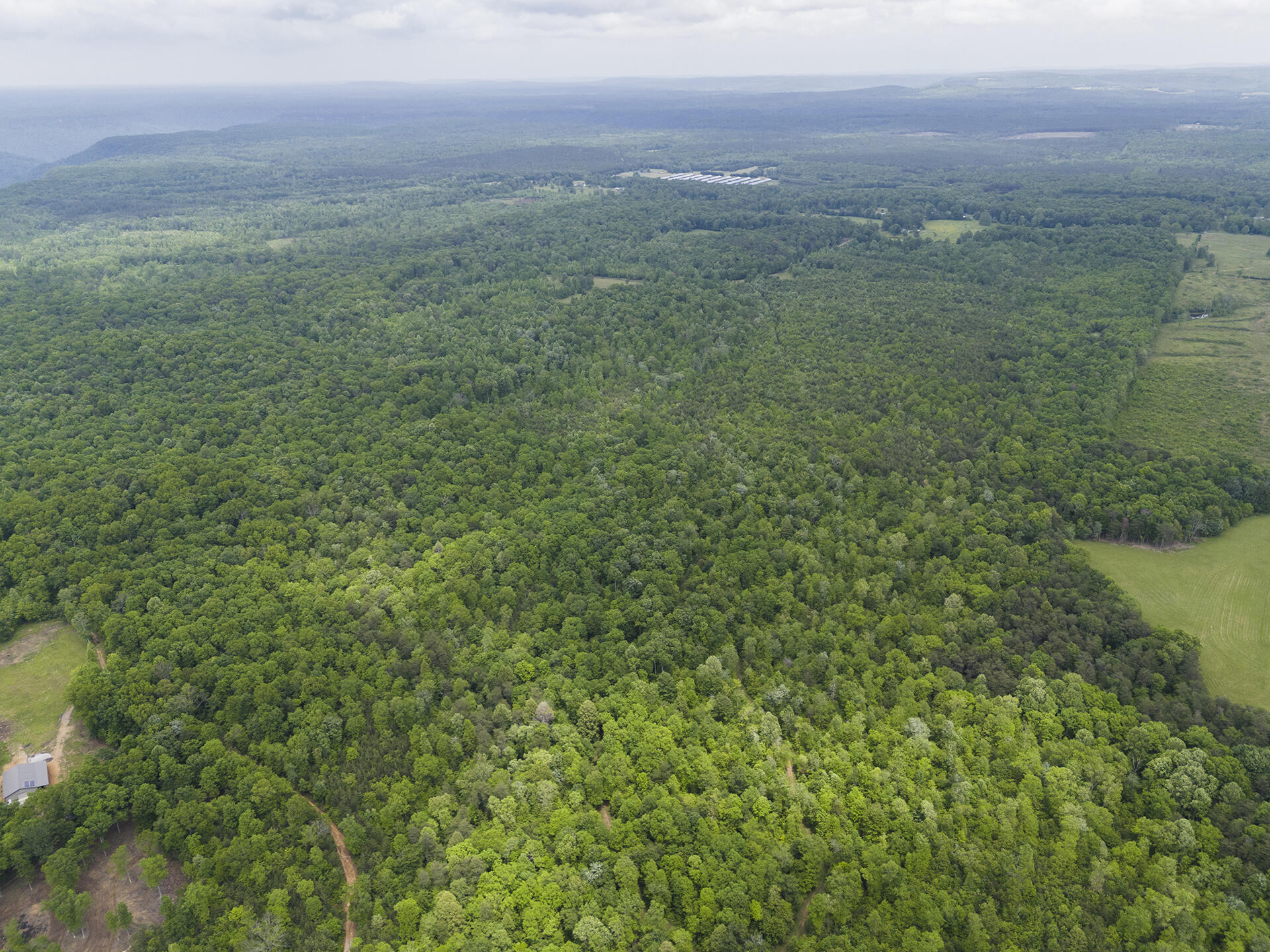 2361 Colony Road Gruetli Laager, TN 37339 - Photo 3 of 8 DJI_20250520143610_0360_D